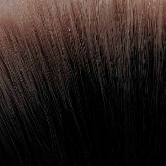 The Clear Beauty Inner Circle at Clear Beauty Aesthetics in Richardson, TX